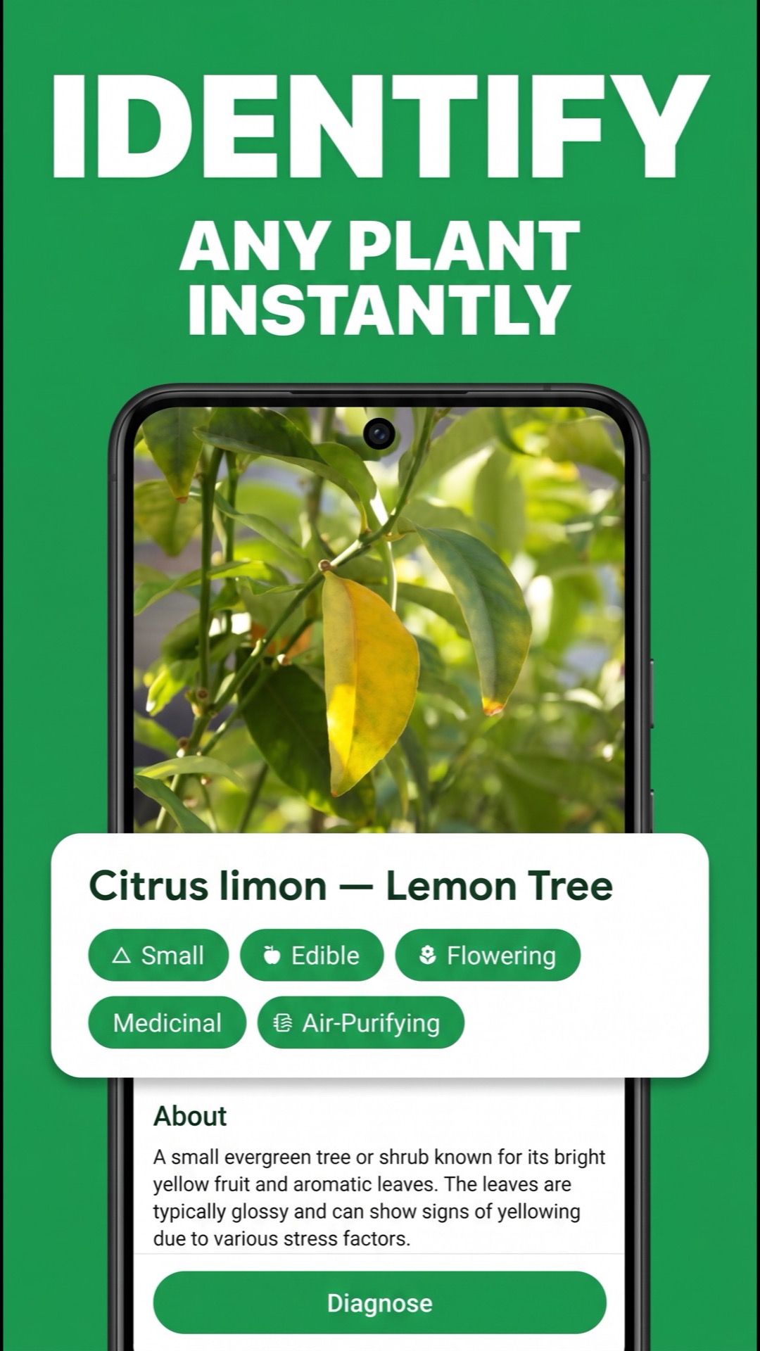 WhatPlant app scanning a plant and displaying its name and care details